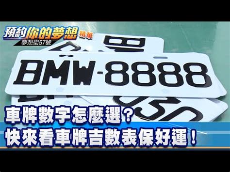 車牌選號吉凶|車牌吉數查詢：你的車牌號碼帶來好運了嗎？ 